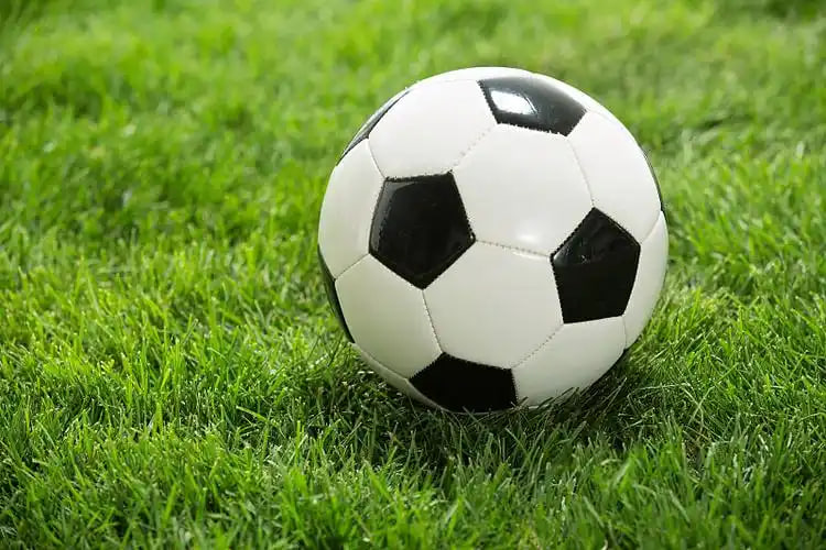 足球教练使用足球比分预测概率研究战术